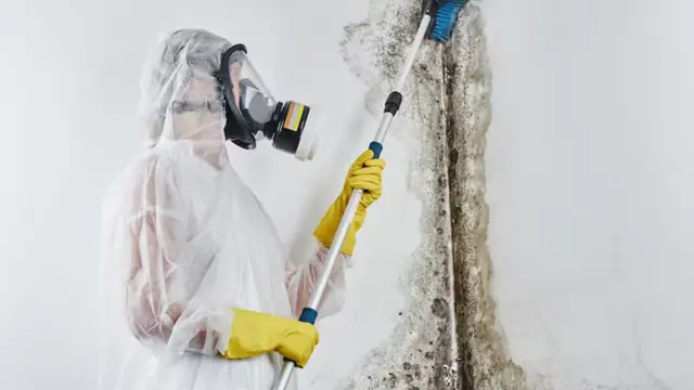 Worker in a full-face respirator and protective suit using a pole tool along a mold-stained wall